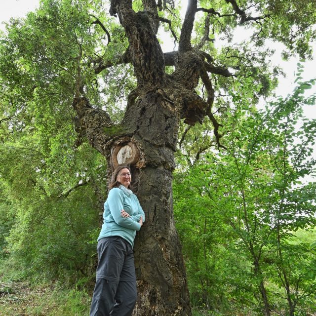 Eine sportlich angezogene Frau steht angelehnt an einem alten, grünen Baum.